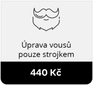 Brno úprava vousů pouze strojkem 2023